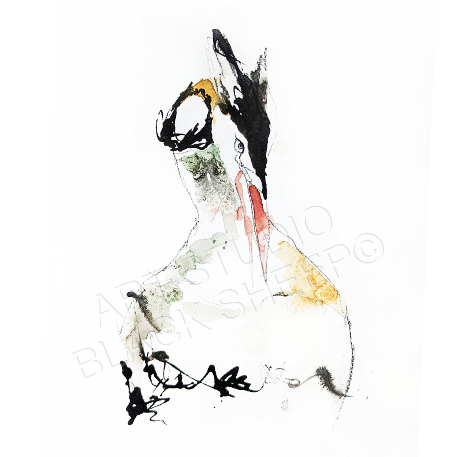 Grebe