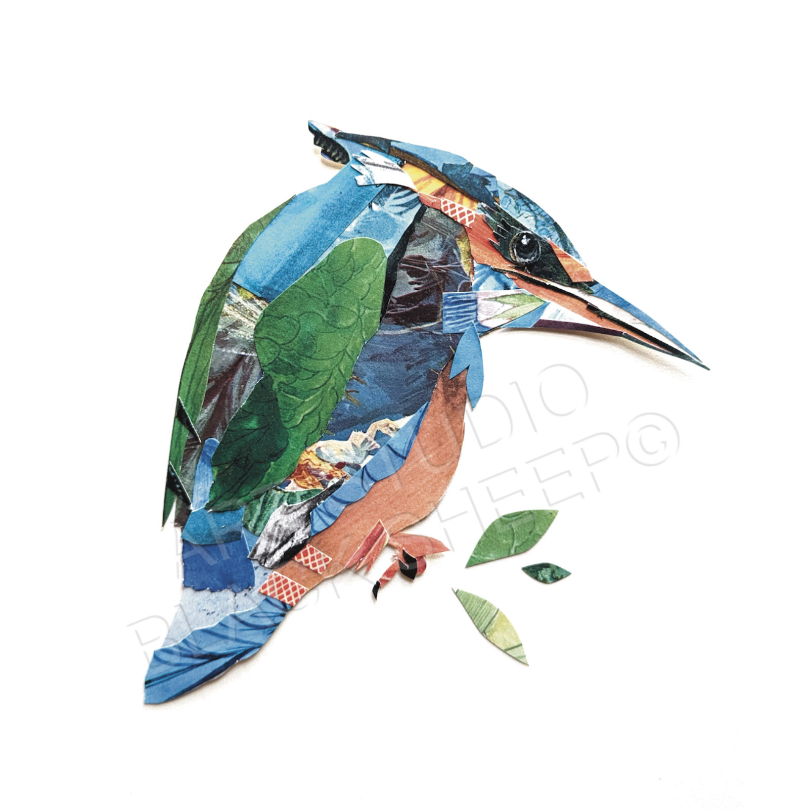 Kingfisher