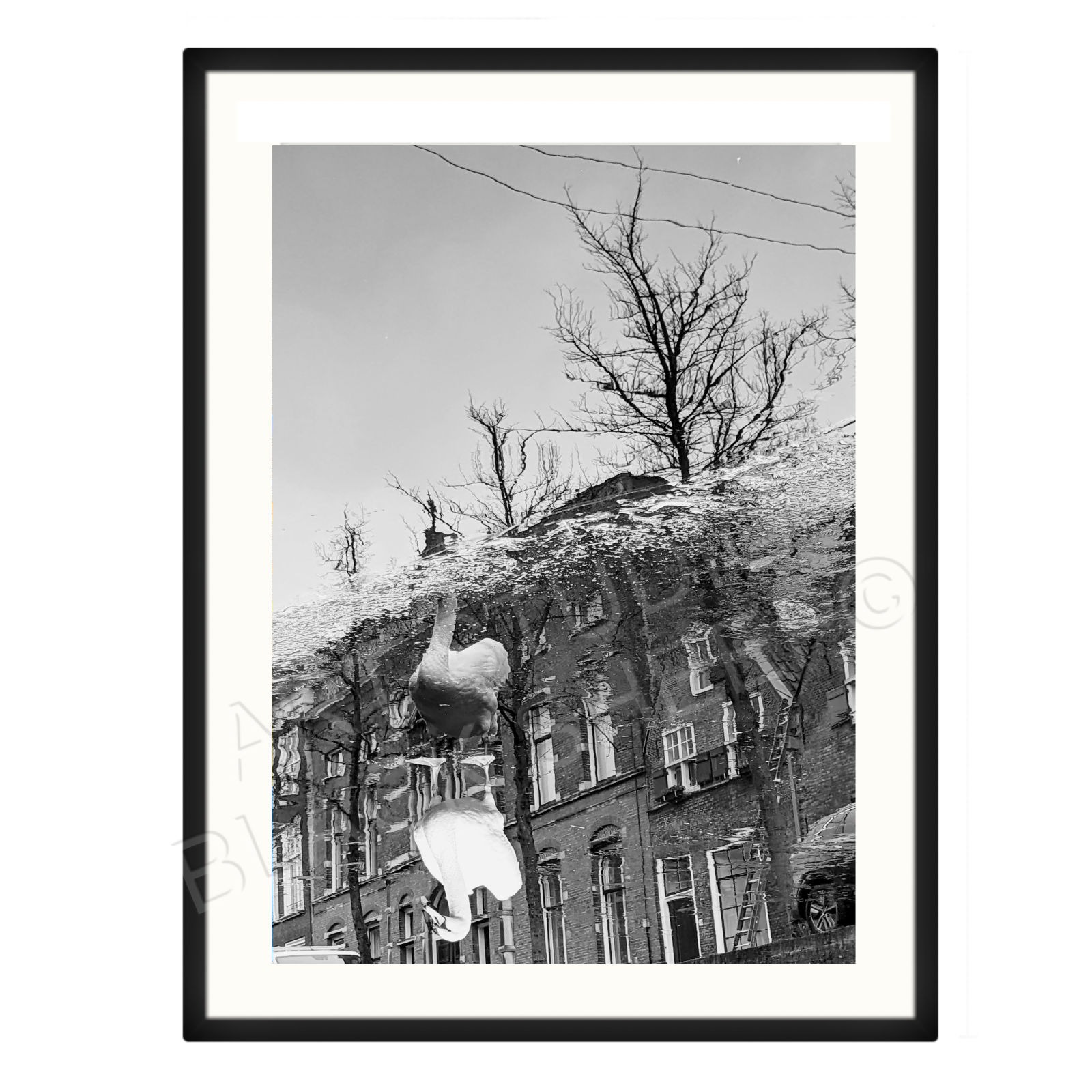 B&W  12